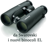 Swarovski EL